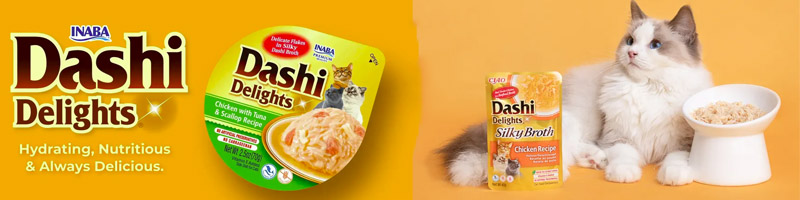 Dashi Delight 2